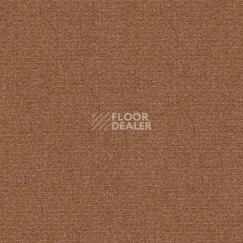 Ковролин Radici Abetone Сamoscio 4263 фото 1 | FLOORDEALER